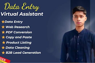data entry, mining, copy paste, PDF conversion, excel work