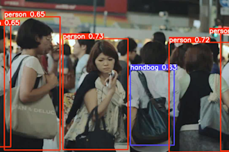 do professional python, machine learning and deep learning