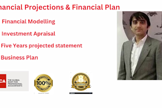 do financial projection, financial plan, and budgeting