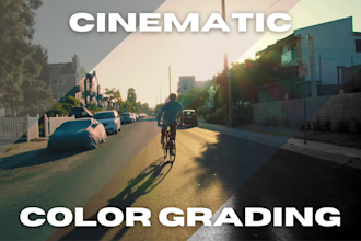 bring a hollywood level color grade to your project as a professional colorist
