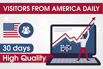 bring USA organic web traffic
