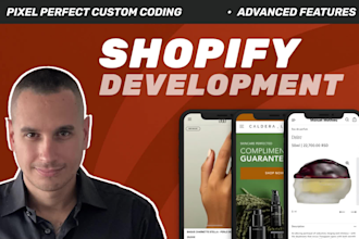 do professional shopify development on your store