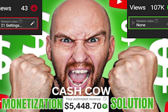 turn youtube monetization issue into a profitable cash cow channel