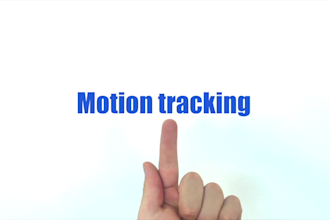 do motion graphics, tracking, callout title, match moving