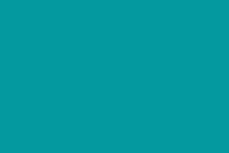 do accounting, bookkeeping service