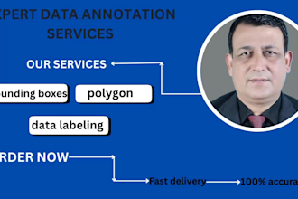 provide image annotation, data labeling, bounding box, segmentation