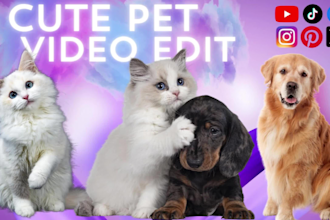 edit modern and funny compilation pet videos within 24 hours