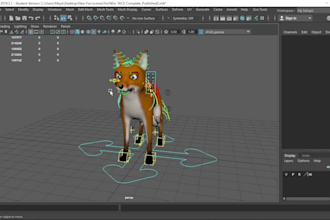 rigg all kinds of maya characters and model