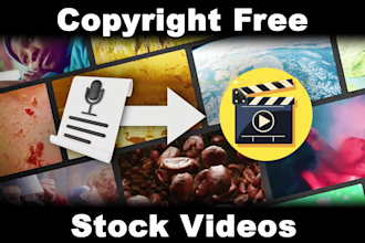 turn your script or article into video using stock footages