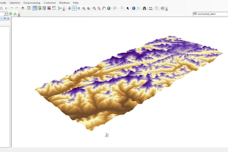 perform gis analysis, gis programming and data analysis
