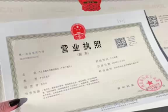 help you register a company in china shanghai