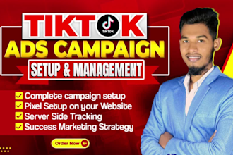 setup tik tok ads campaign, tik tok ads, tik tok video ads