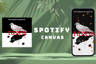 professionally create your spotify canvas