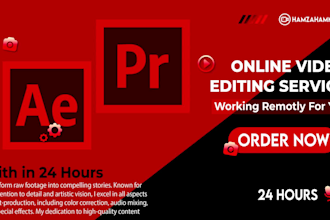 do professional video editing within 24 hours