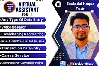 do CRM data entry, excel data cleaning, data migration, email finding