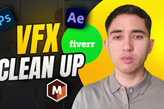 remove object from video, vfx cleanup, wire removal