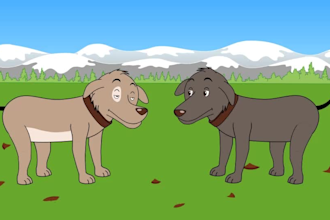 animate for you any action on any given character
