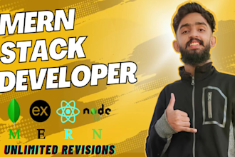 be full stack developer or mern stack developer