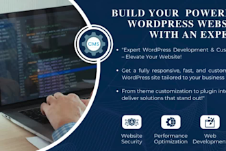 do professional wordpress website development and customization