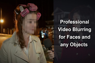 blur face, objects, logo, or anything in your video
