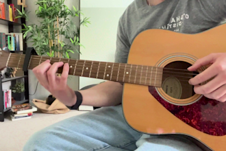 give 30 minute beginner friendly guitar lessons over zoom