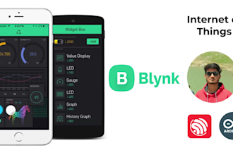 work on your iot blynk project