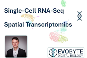 analyze single cell rna seq and spatial transcriptomics data