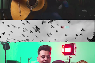 record professional mariachi guitarron, vihuela, and guitar
