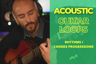 record professional rhythms acoustic guitar