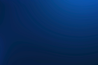 ebay store management and services, dropshipping, amazon, walmart