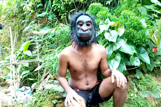 wish a happy birthday video funny message and greetings monkeyboy