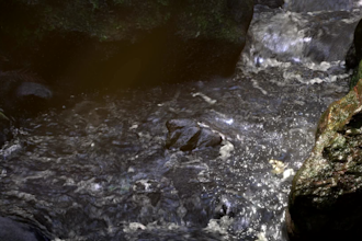 do fluid, pyro, fire, particles, rbd fx in houdini