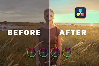 color grading any of your videos for a professional look