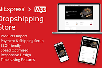 create a professional aliexpress or amazon dropshipping online store