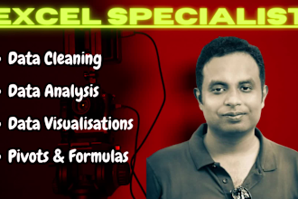 do excel data cleaning, data analysis and data visualization