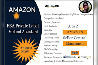 expert amazon fba wholesale and pl virtual assistant