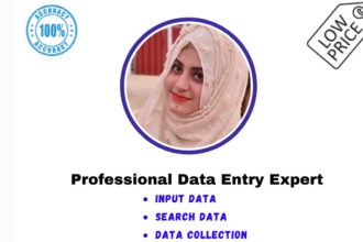 do data entry, data input, search data and data collection