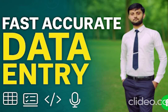 do accurate excel or word data entry and financial cleanup professionally