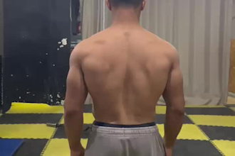 coach you  with elite fitness and meal plans for real results