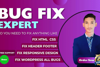 fix any wordpress bug, HTML, CSS responsive issue, PHP error, and layout problem