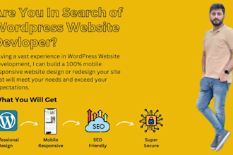 do wordpress website development, responsive website redesign
