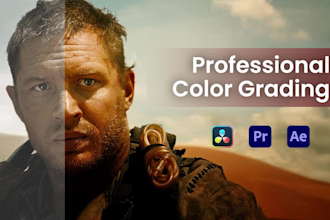 do professional video color grading and color correction