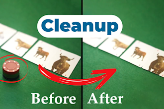 professionally remove unwanted objects