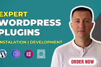 install wordpress plugins bug fixes and custom wp plugin development