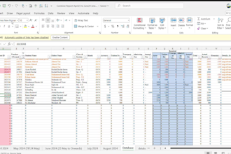 provide professional data entry and accounting services