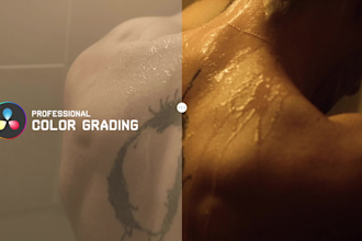 do professional video color grading and color correction