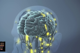 create high quality 3d medical animation biomedical and anatomy explainer videos