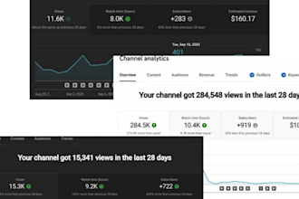 audit and review youtube channel, videos and thumbnails