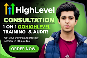 provide personalized gohighlevel consultation and go high level setup training