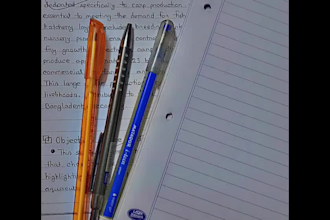 handwrite any paper typing work
